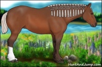 Horse Color:Silver Bay 