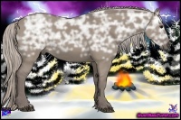 Horse Color:Silver Grullo Ice Rabicano