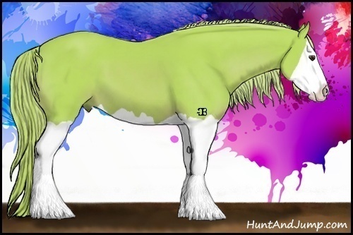 Horse Color:Watercolor Palomino Splash
