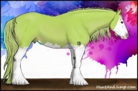 Horse Color:Watercolor Palomino Splash