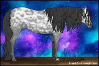 Horse Color:Smoky Blue Ice Roan