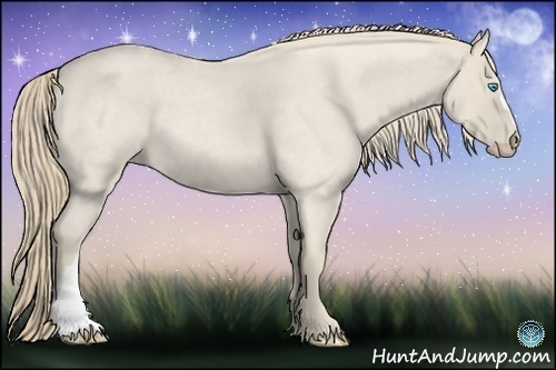 Horse Color:Smoky Creme Roan 