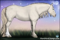 Horse Color:Smoky Creme Roan 