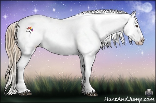 Horse Color:Liver Chestnut Splash Appaloosa 