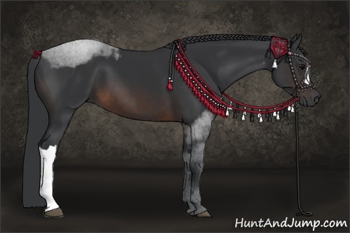 Horse Color:Brown 