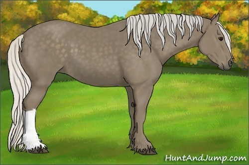Horse Color:Silver Smoky Black 