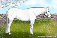 Horse Color:Black Sabino Splash 