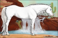 Horse Color:Gold Cream Champagne Dun Splash Blanket