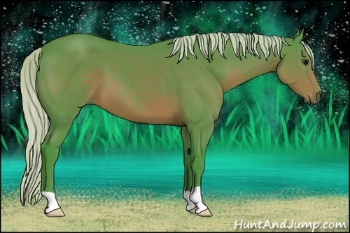 Horse Color:Watercolor Silver Brown