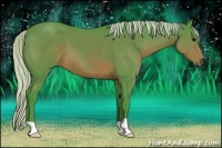 Horse Color:Watercolor Silver Brown 