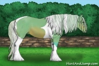 Horse Color:Watercolor Silver Brown Tobiano 