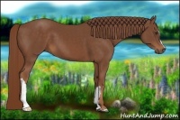 Horse Color:Chestnut Frame