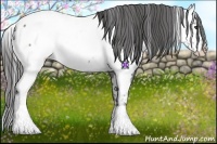Horse Color:White Spotted Blue Roan Fewspot Rabicano