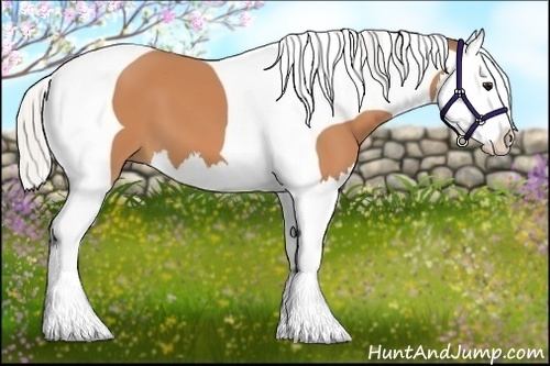 Horse Color:Silver Bay Splash Tobiano 