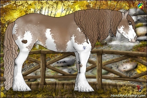 Horse Color:Liver Chestnut Splash 