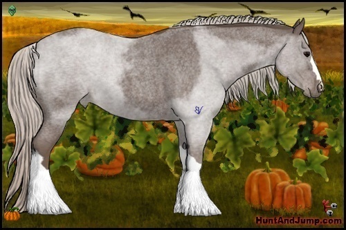 Horse Color:Silver Blue Roan 