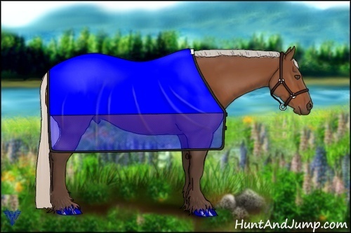 Horse Color:Silver Bay 