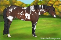 Horse Color:White Spotted Bay Frame
