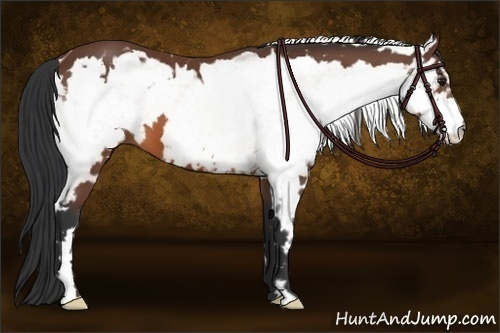Horse Color:White Spotted Bay Frame 
