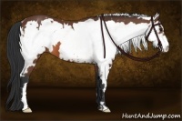 Horse Color:White Spotted Bay Frame 