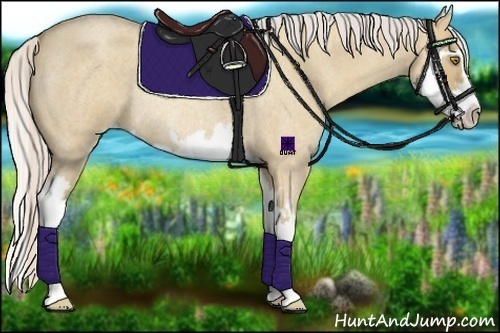 Horse Color:Silver Classic Champagne Roan Dun Splash Frame Rabicano