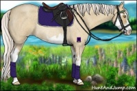 Horse Color:Silver Classic Champagne Roan Dun Splash Frame Rabicano