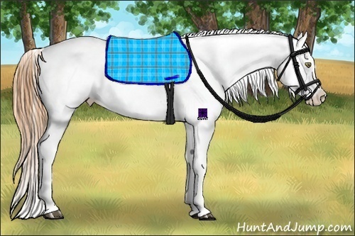Horse Color:White Spotted Bay Pearl Dun Blanket