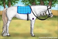 Horse Color:White Spotted Bay Pearl Dun Blanket 