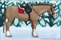 Horse Color:Classic Champagne Splash