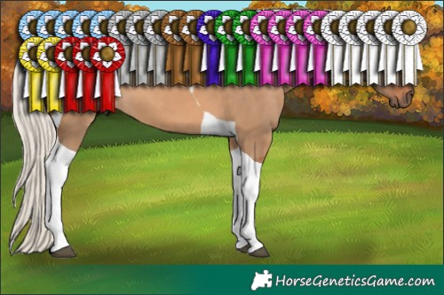 Horse Color:Silver Bay Dun Tobiano 