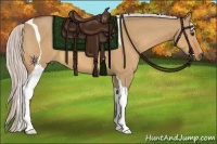 Horse Color:Silver Bay Dun Tobiano