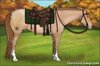 Horse Color:Bay Pearl Sabino 