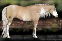 Horse Color:Silver Black Pearl Sabino 