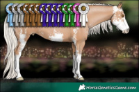 Horse Color:Silver Black Pearl Sabino 