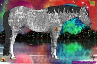 Horse Color:Black Ice Rabicano 