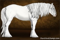 Horse Color:Cremello Dun Tobiano 
