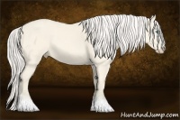 Horse Color:Cremello Dun Sabino Tobiano