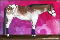 Horse Color:White Spotted Bay Varnish 