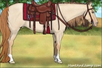 Horse Color:Gold Champagne Roan Dun 