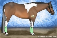 Horse Color:Buckskin Tobiano 