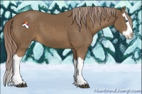 Horse Color:Chocolate Palomino Splash