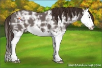 Horse Color:Liver Chestnut Ice Splash 