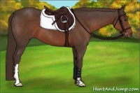 Horse Color:Liver Chestnut Frame 