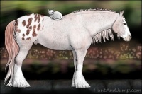 Horse Color:Watercolor Chestnut Ice Sabino Splash Appaloosa Rabicano