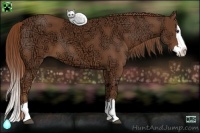 Horse Color:Chestnut Ice Sabino Splash