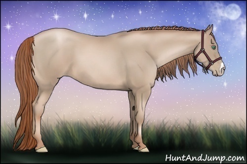 Horse Color:Smoky Black Pearl 