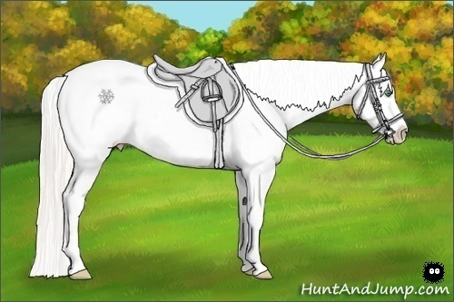 Horse Color:Silver Sable Cream Champagne Roan Dun Splash Tobiano Frame Varnish Rabicano