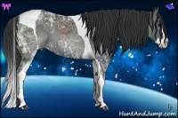Horse Color:Black Ice Sabino Splash Tobiano