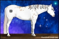 Horse Color:Palomino Ice Sabino Splash
