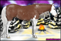 Horse Color:Silver Black Sabino Splash